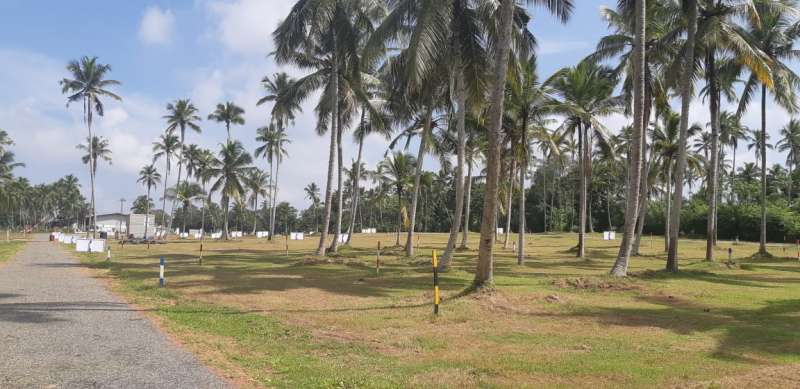 Thilakawaththa Udubaddawa Land Sale, Coconut field with amazing view, roads, water, electricity and all the facilities you need