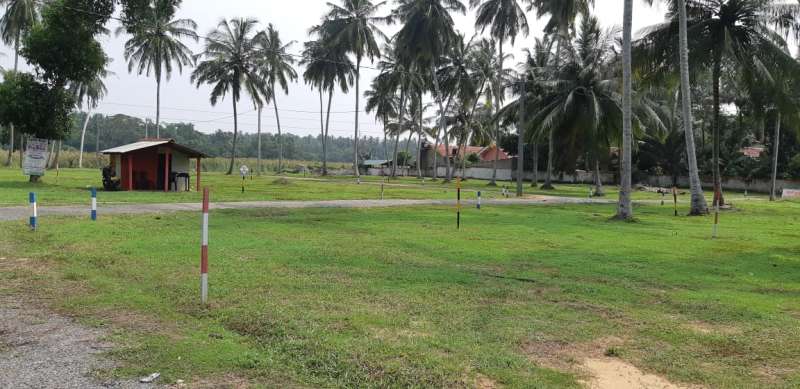 Madampe Land Sale, Coconut field with amazing view, roads, water, electricity and all the facilities you need